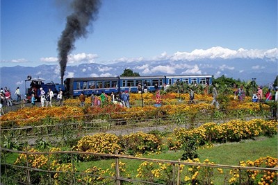 Norh East India Tour